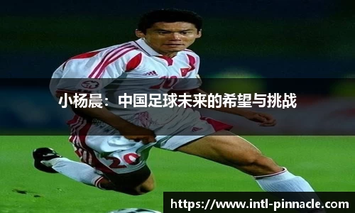 平博pinnacle官网