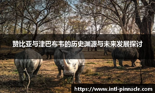 赞比亚与津巴布韦的历史渊源与未来发展探讨